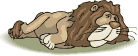leone sdraiato.gif